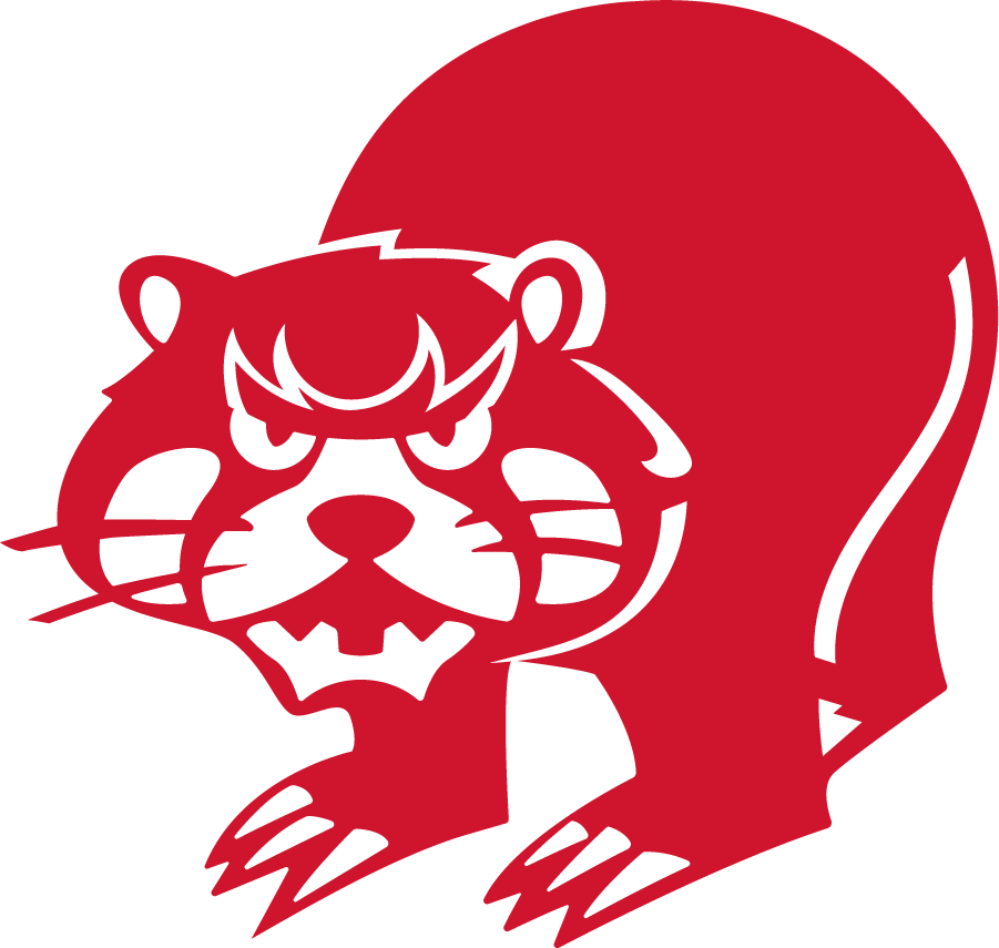 Cincinnati Bearcats 1973-1976 Secondary Logo iron on transfers for clothing